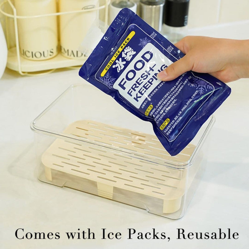 Portable Refrigerator Acrylic Crisper Box – With Divider Plate & Ice Packs