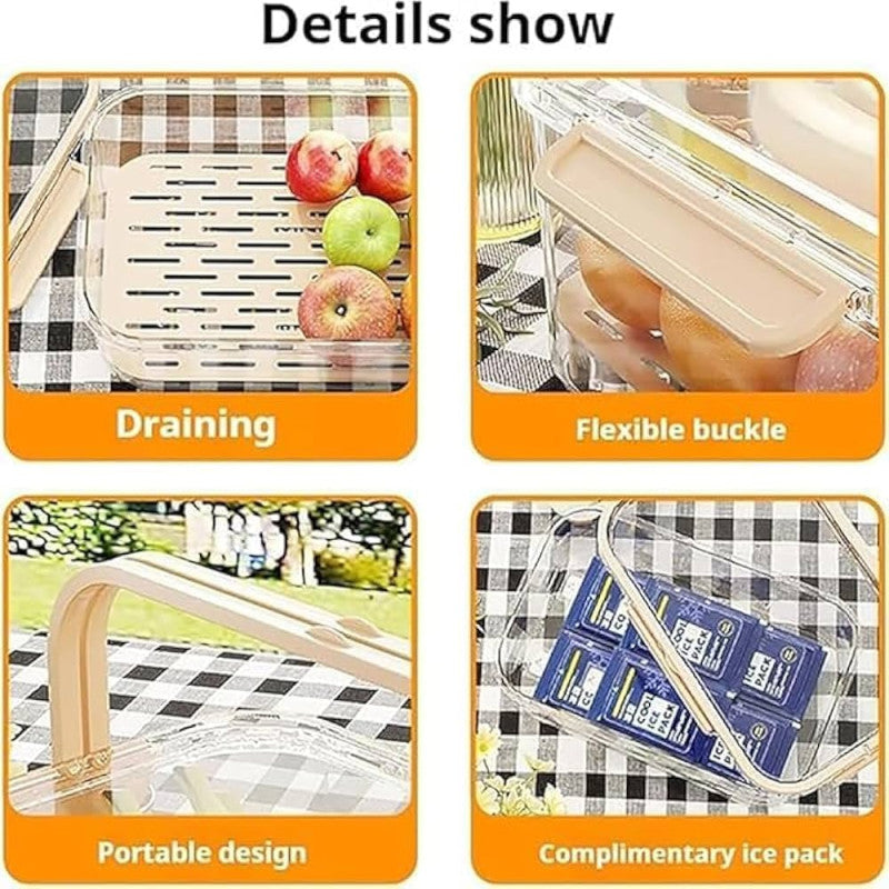 Portable Refrigerator Acrylic Crisper Box – With Divider Plate & Ice Packs
